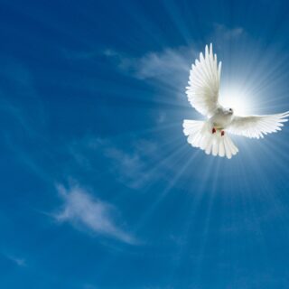 Another Pentecost Coming!