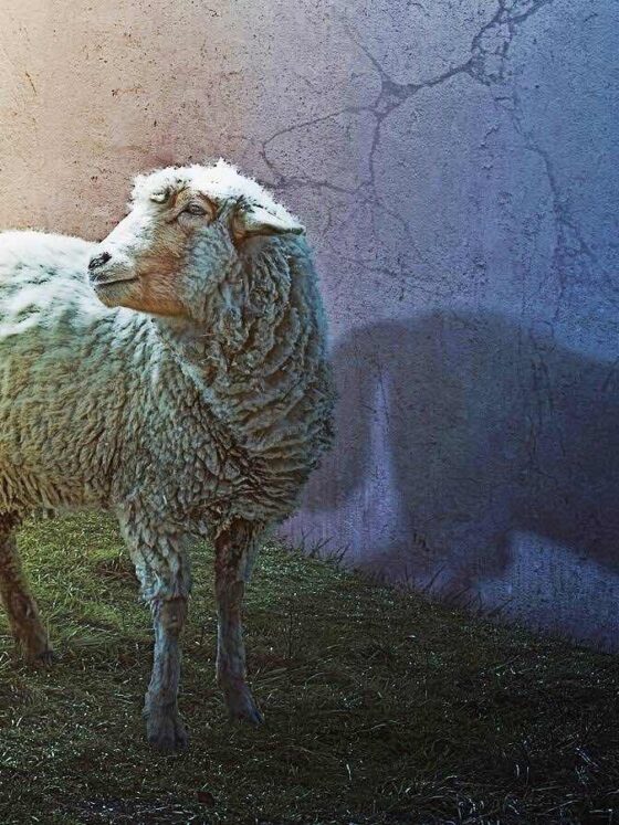 He Is Coming—But Not When Men Say